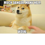 doges in arms