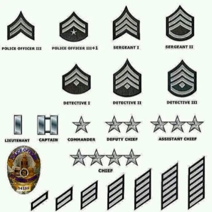 LAPD RANKS