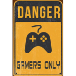 The Pro Gaming Zone