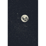 Wonder$