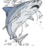 luizfeliperamos