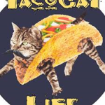 Taco and cat
