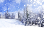 Winter Army!!