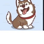 blueberry dog