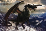 Dragon's of the forgotten age