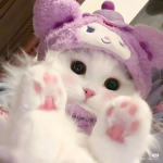 ฅ CutwesyPaws۶ৎ ฅ