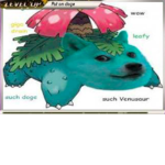 Doge car clan