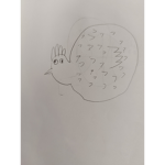 月亮、太陽