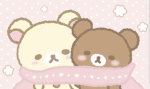 BlossomTeddies