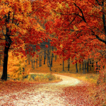 *. autumn light