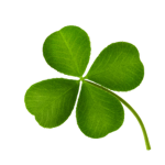 Clover Artz