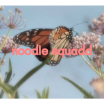 Noodle Squadd