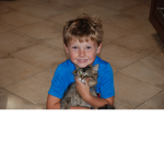CATS & KITTEN FAN GROUP!!