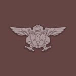 The National Fire Agency