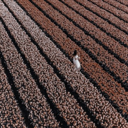 🌰