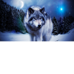 The_Moonlight_Pack