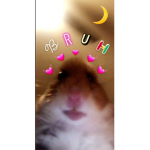 Bhaddie Appreal