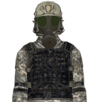 chaos insurgency..........