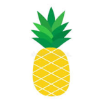 Pinnx