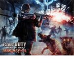 COD Zombie Hunters (CZH)