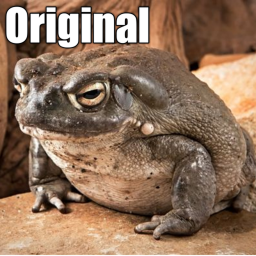 Toad Castle (ORIGINAL)