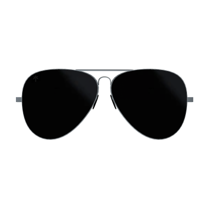 Classic Aviator Sunglasses