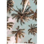 Flora1s