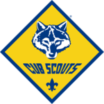 Virtual Scouts