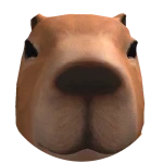 Capybara Morph