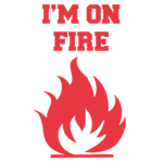 NBA TEAM RAPTORS