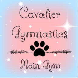 Cavalier Gymnastics's~Main Gym