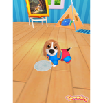 Puppy lifetime