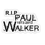 Paul Walker Support