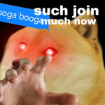 D0GS UNlTED