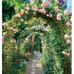 flower garden<33