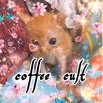 coffee cult!