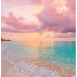 ♡Royale Beach♡