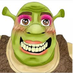 You need a Shrek Check