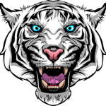 I AM WILDCAT AWSOME GROUP