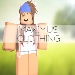 Maximus's Interiew System