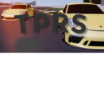 The Parallel Racing Series
