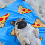 The Official Pug Club