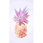 The Tropical Pineapples [Official!]
