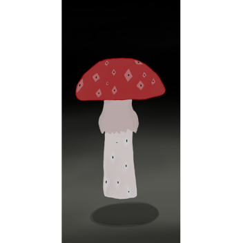 Different Dimensions 