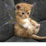 ..pixiesweets..