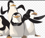 Los Pingüino gang