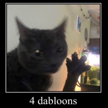 4 dablooms cat meme Roblox decal