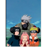 THE STRAWHATS OF NARUTO