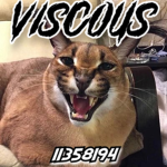 彡Viscous