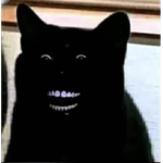 Cool Kitty's Group